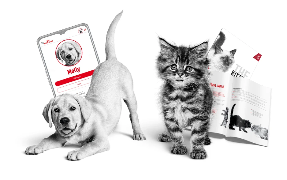 Royal Canin